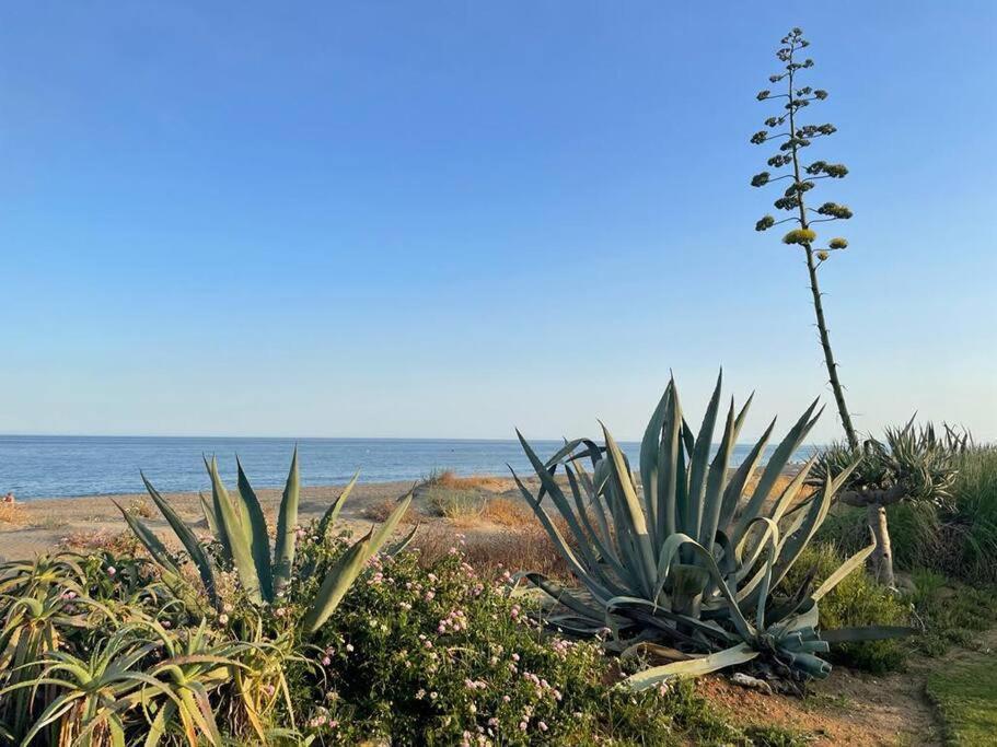 4 Bedroom Townhouse 200 Meters From The Beach! Appartement